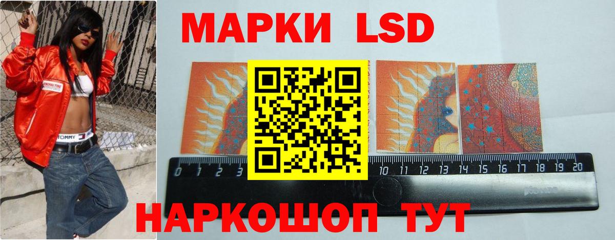 Псилоцибиновые грибы Кудымкар